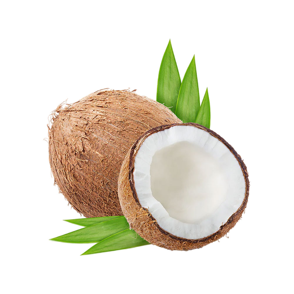 Noix de coco – Image 3