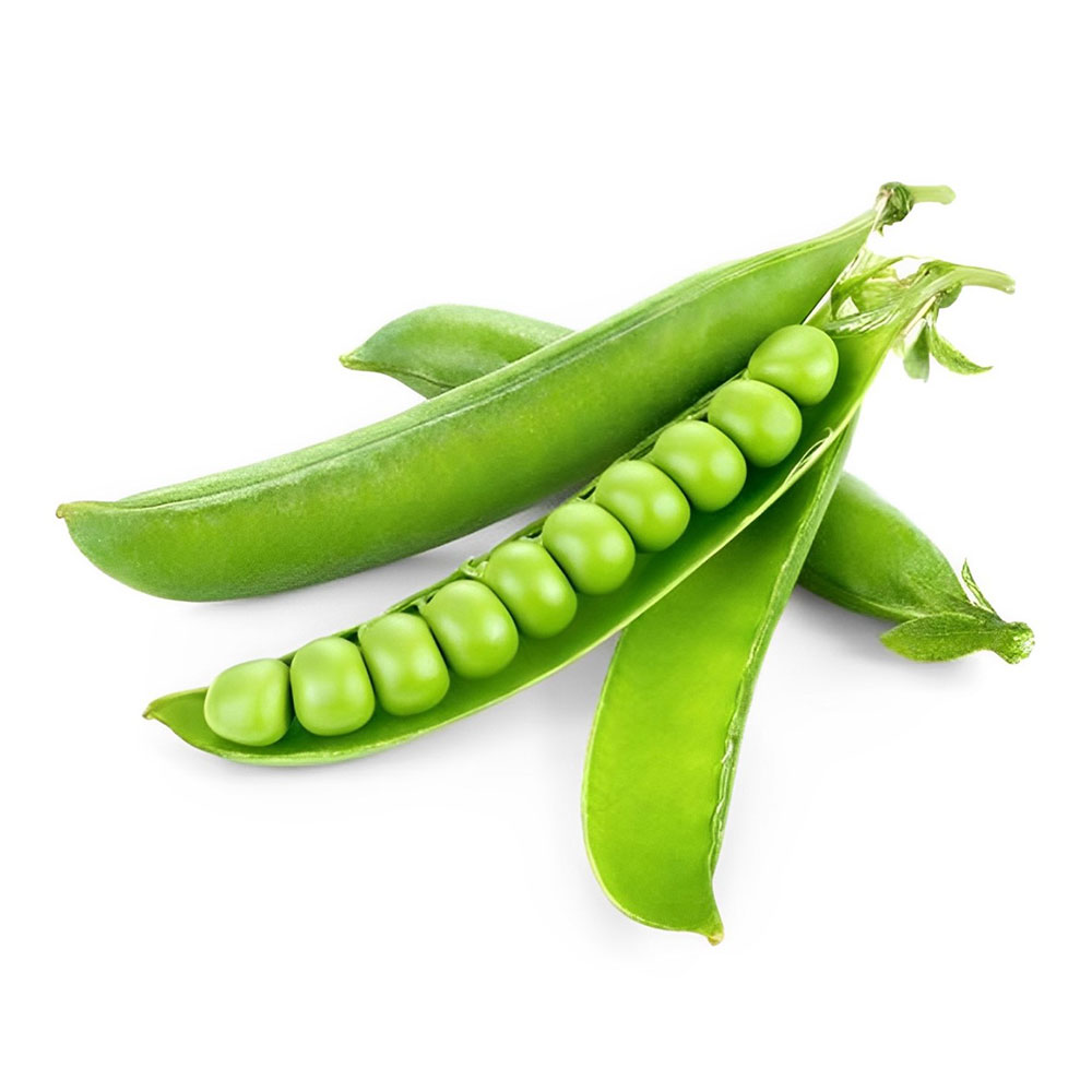 Sac | Graines de Pois Verts – Image 3