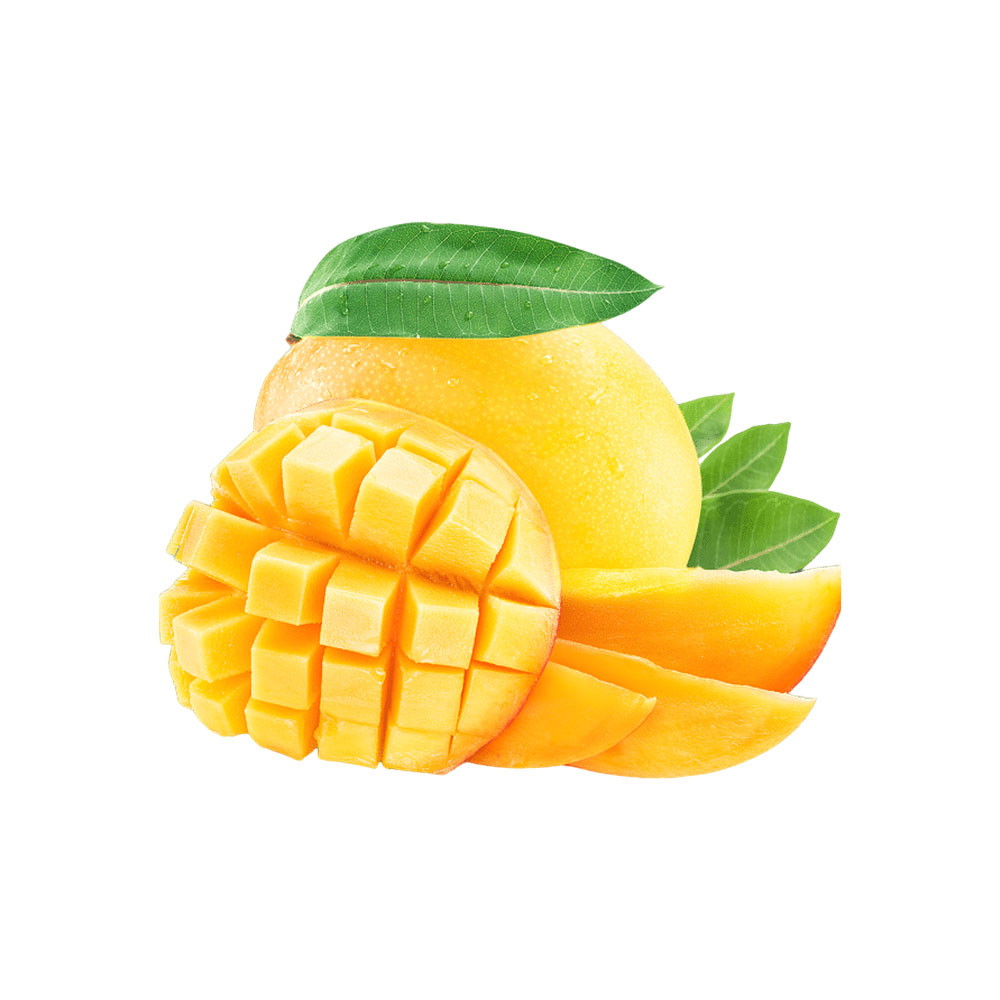 Mangue – Image 3