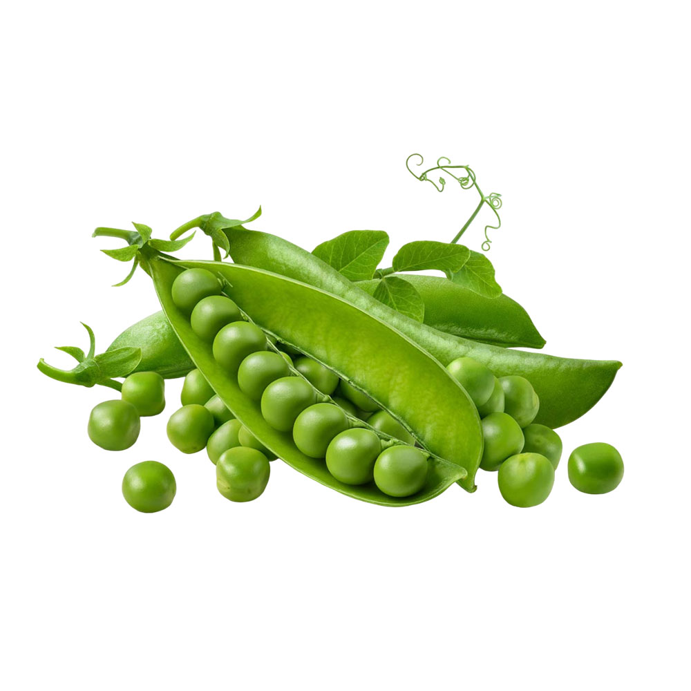 Sac | Graines de Pois Verts – Image 4