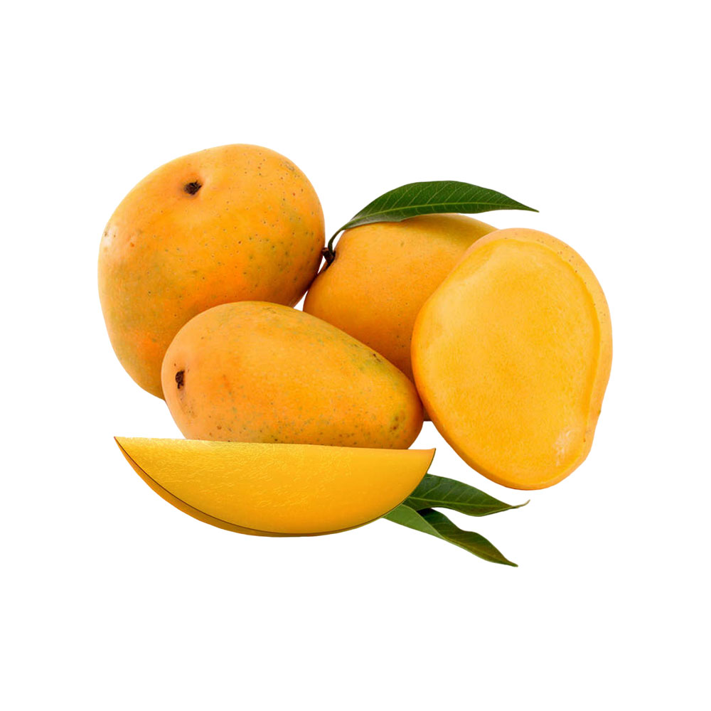 Mangue – Image 4