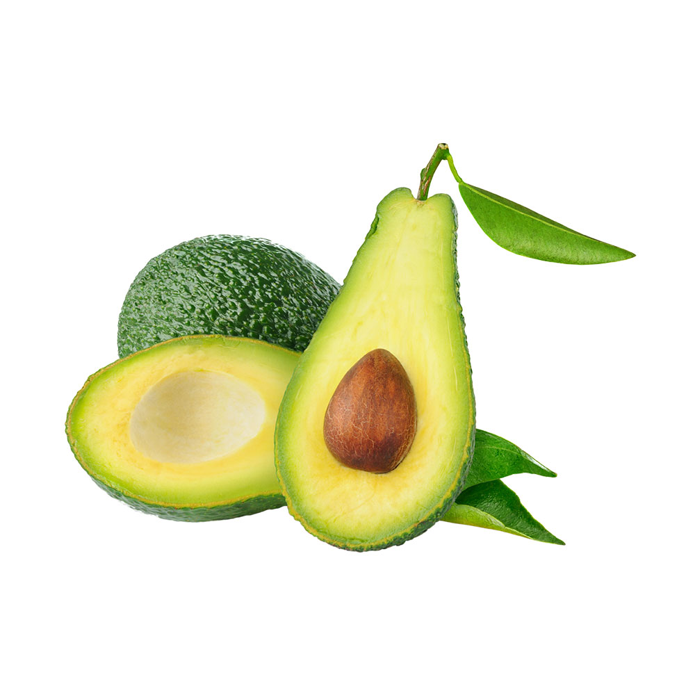 Avocat – Image 5