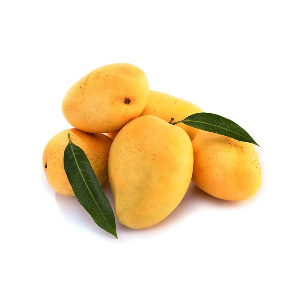 Mangue – Image 5