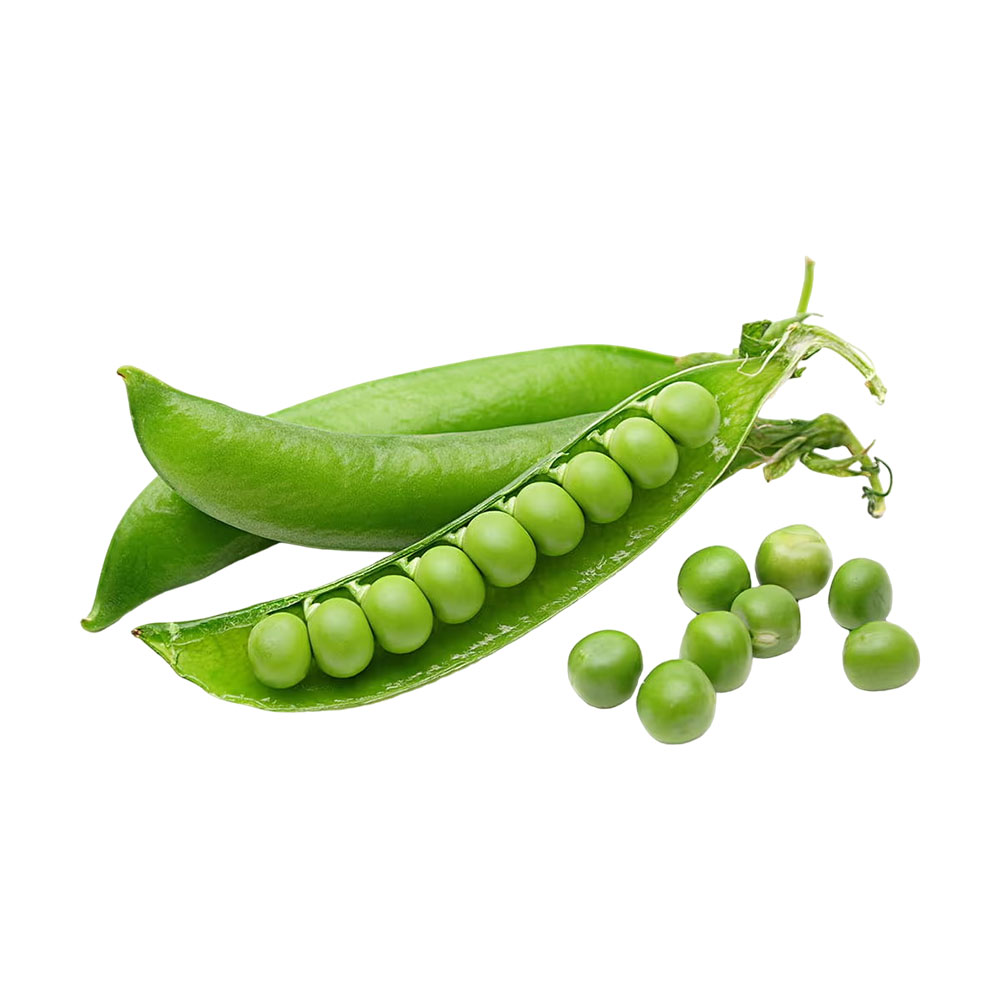Sac | Graines de Pois Verts