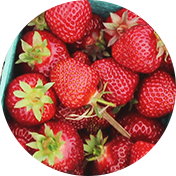 Fraise