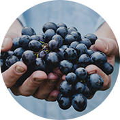 Raisins noirs