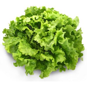 Salade