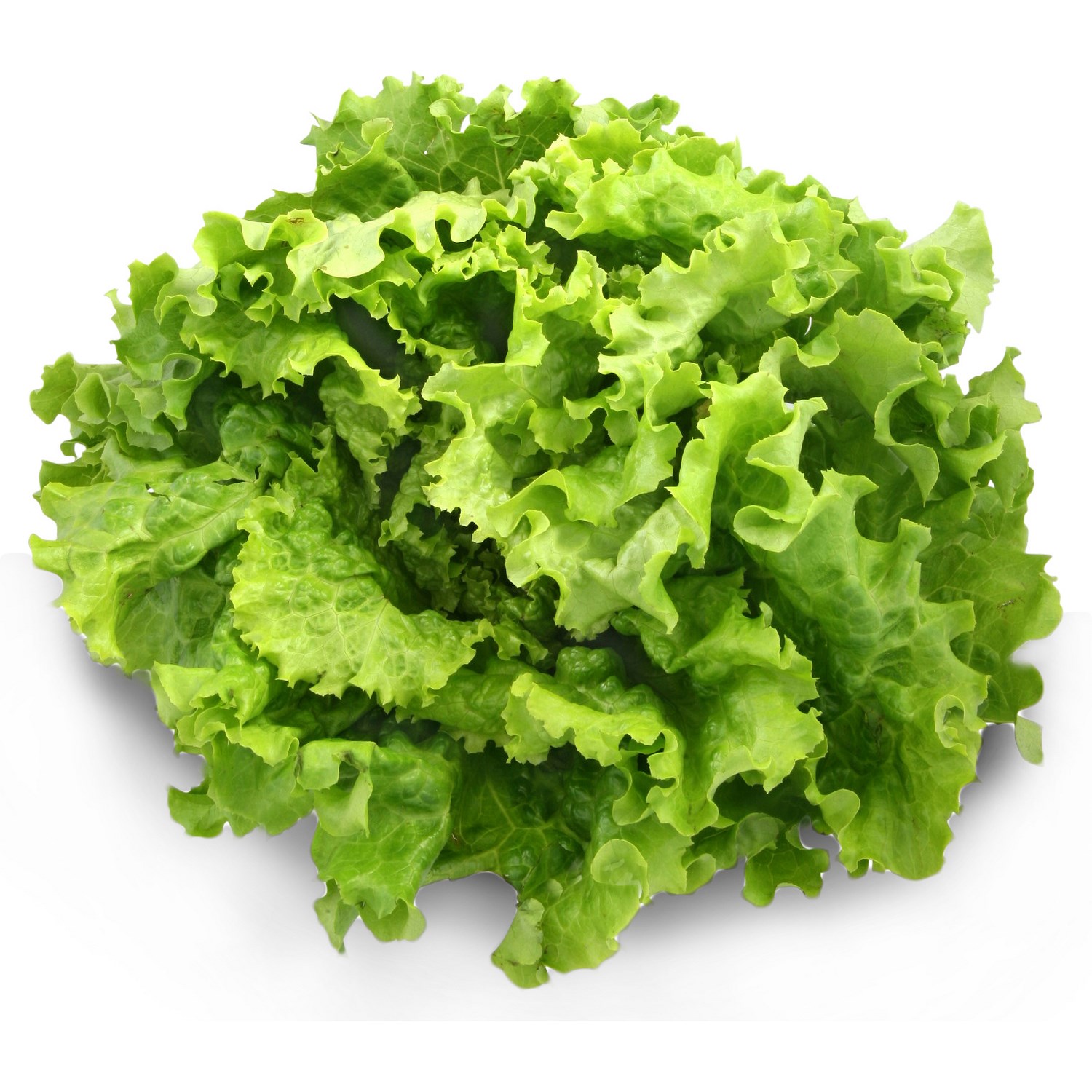 Salade